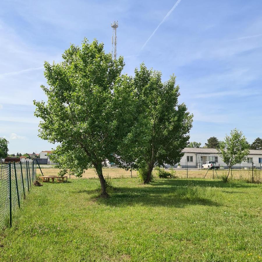 Tiny House Villa Neusiedl an der Zaya Exterior photo
